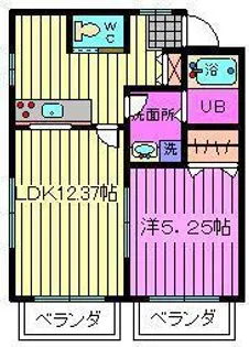 シャインエステート【1階】の間取り