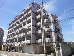 ルピナスKOGOMEの画像