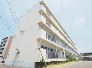 サンキュー春日の画像