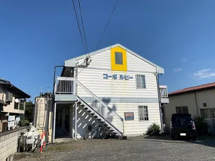 山梨県中巨摩郡昭和町河東中島【アパート】の外観