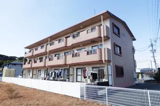 アネシスKOSAIの画像