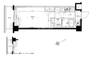 AZEST志村坂上II【5階】の間取り