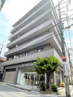 シェルブルーの画像