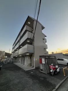 メイプルコートの画像