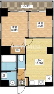 COCO今博多町【8階】の間取り