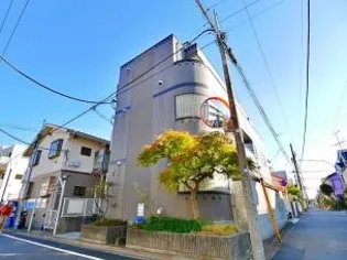 コットンフラットの画像