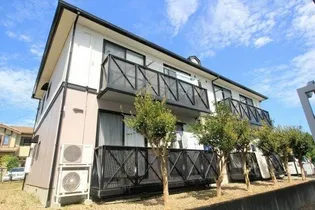コトーBの画像