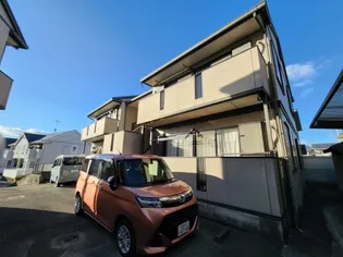 ベルコスモスの画像