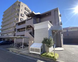 ウィステリアブロッサムの画像