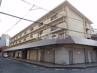 アルファコートの画像