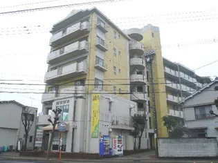 ノアズ アークの画像