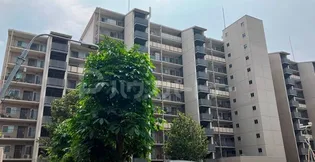 津田沼アカシアハイツ弐号棟の画像