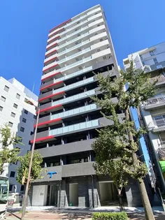 セレニテ東三国ミラク【4階】の外観