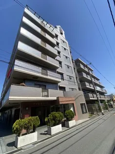 キャピタル キダの画像