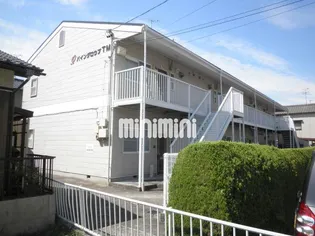 パイングロウブTMの画像