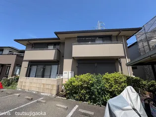 シルウィコーラの画像