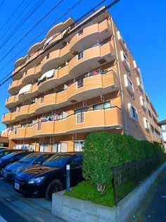 リエントラーレの画像