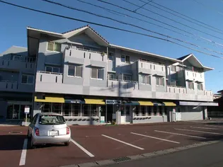 ルネッサンス犬塚【3階】の外観