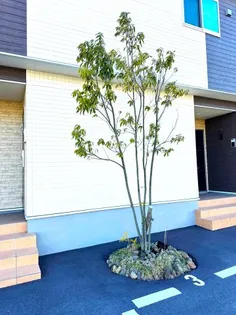 グランディールUSUI【1階】の地図