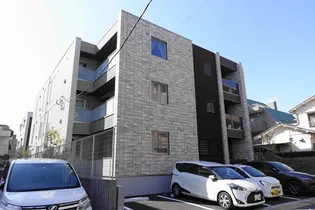 ハレレアレイの画像