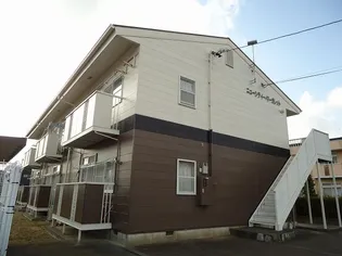 ニューシティマーガレットの画像