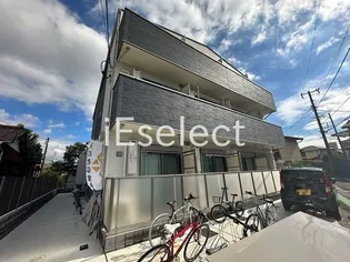 アルファサンライズの画像