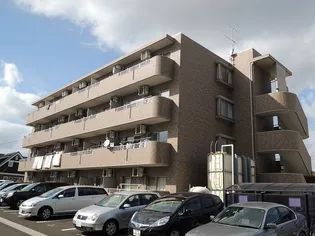 サンベルジュの画像