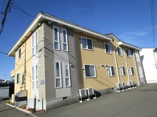 チアファルの画像