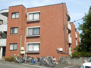 ルーチェエベルデの画像