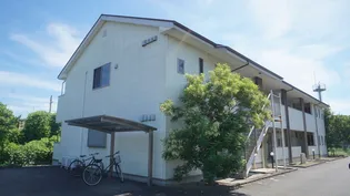 カムズエイトの画像