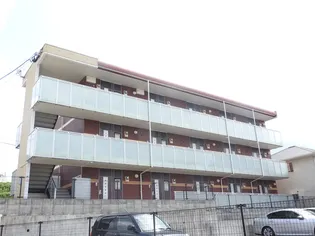 レオネクストトンゴーノの画像