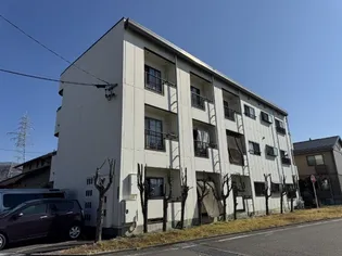 ルミエールの画像