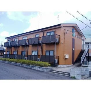 SUNSET NISHIZAWAの画像