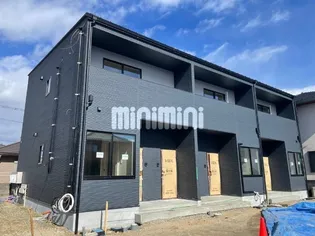 グラシアカーサの画像