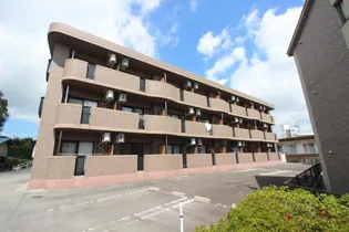 エテルノジェンテの画像