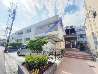 デスパシオの画像