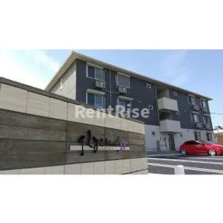 グリシーヌの画像