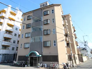 ライフワーク葵の画像