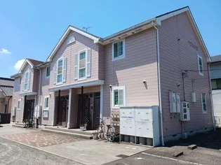 ミレニアムコートの画像