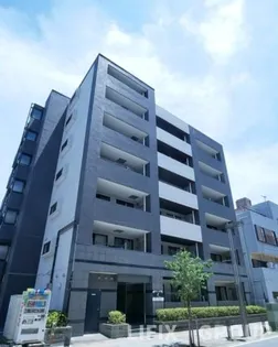 セジョリNORTH東京の画像