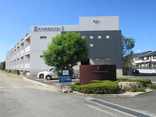 コモンズーIの画像