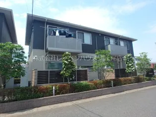 セルディーナ Bの画像