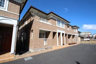 Y ソナタIIの画像