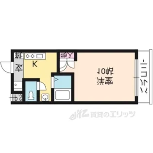 RacoonD3【1階】の間取り