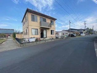 パピー1の画像