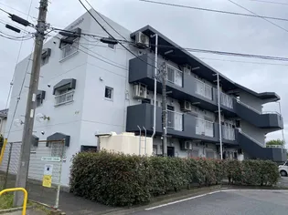 茨城県水戸市千波町【マンション】の外観