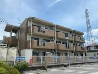 ユーミーつるた1の画像