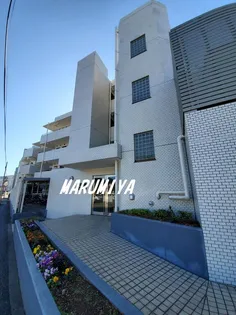 東京都三鷹市新川3【マンション】の外観