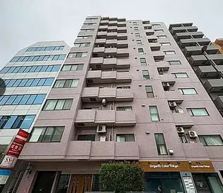 シルバーパレス白金台【4階】の外観