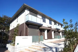 プルメリアの画像